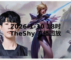 开云-TheShy新星精彩发挥表现惊艳，G2未来可期！的简单介绍